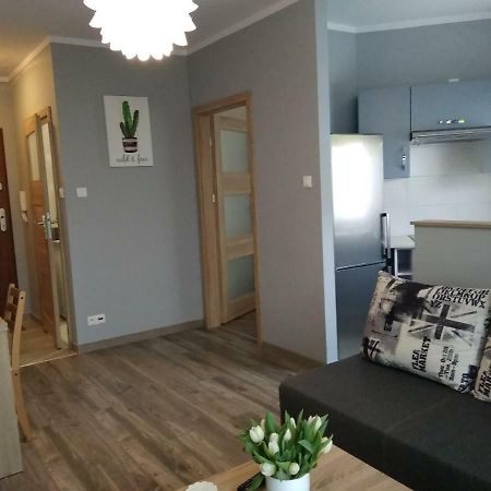 고르주프비엘코폴스키 Apartament Edelmana 아파트 외부 사진