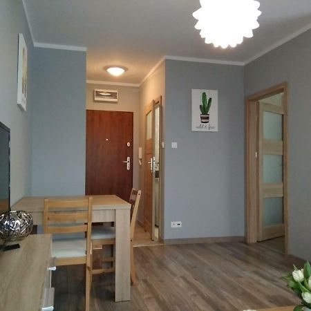 고르주프비엘코폴스키 Apartament Edelmana 아파트 외부 사진