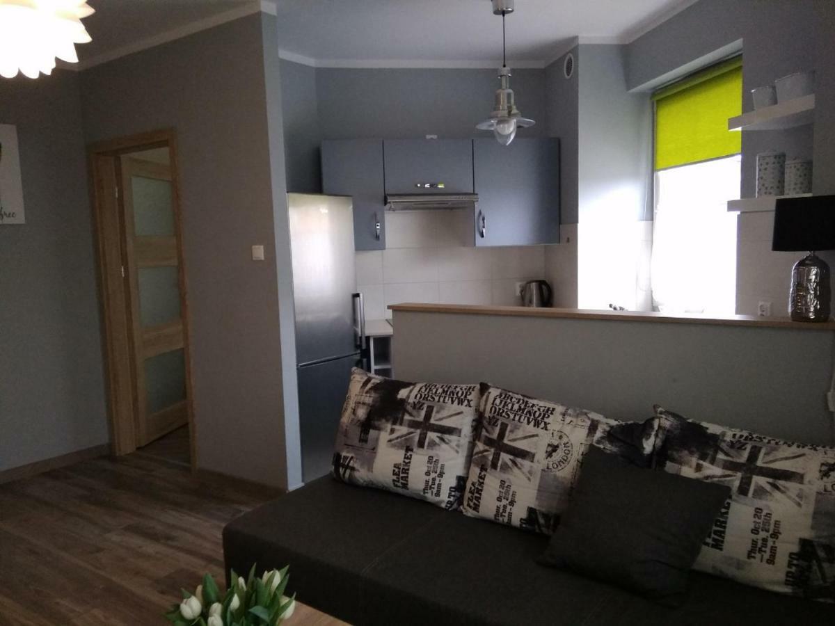 고르주프비엘코폴스키 Apartament Edelmana 아파트 외부 사진
